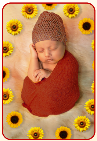 Newborn Session